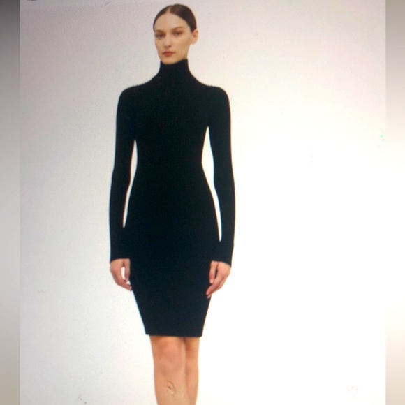Wolford Virgin Wool Dress . Size XS - Picture 1 of 7